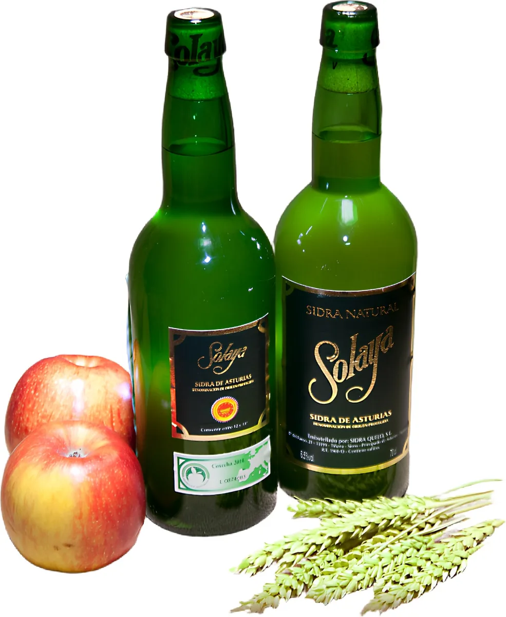 Sidra Solaya Caja 6 Botellas Denominacion de Origen