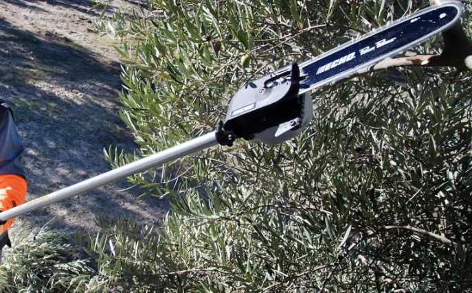 Podadora Altura Echo PPF 236 ES /25 — foto 6
