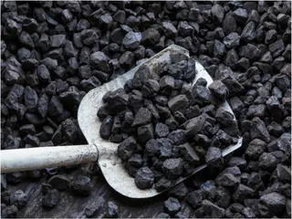 Carbon Cocina 15 kg