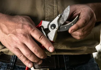 Estuche Tijeras de Poda Felco No 2 y Serrucho — foto 4