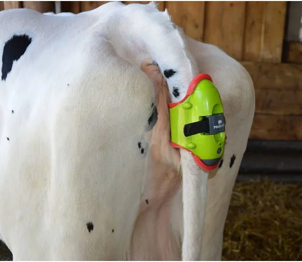 Detector para Partos Vacas Moocall — foto 3