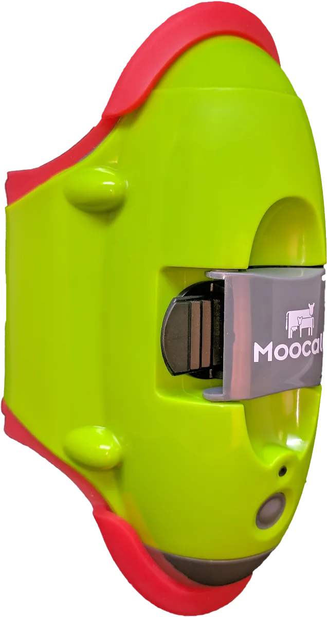 Detector para Partos Vacas Moocall