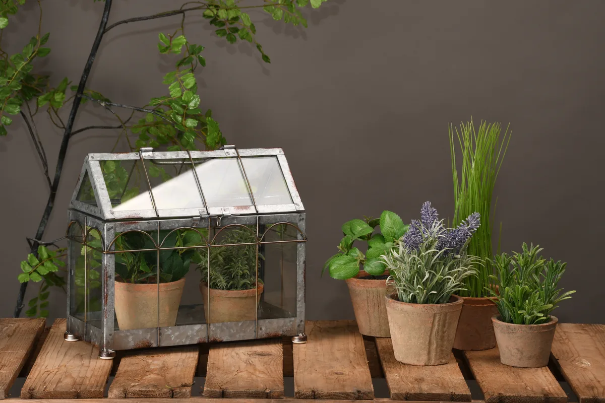 Casa Invernadero Cristal Verde M - CRISTAL ROTO — foto 4
