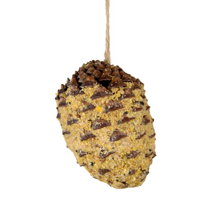 Cono de Pino Relleno — foto 2