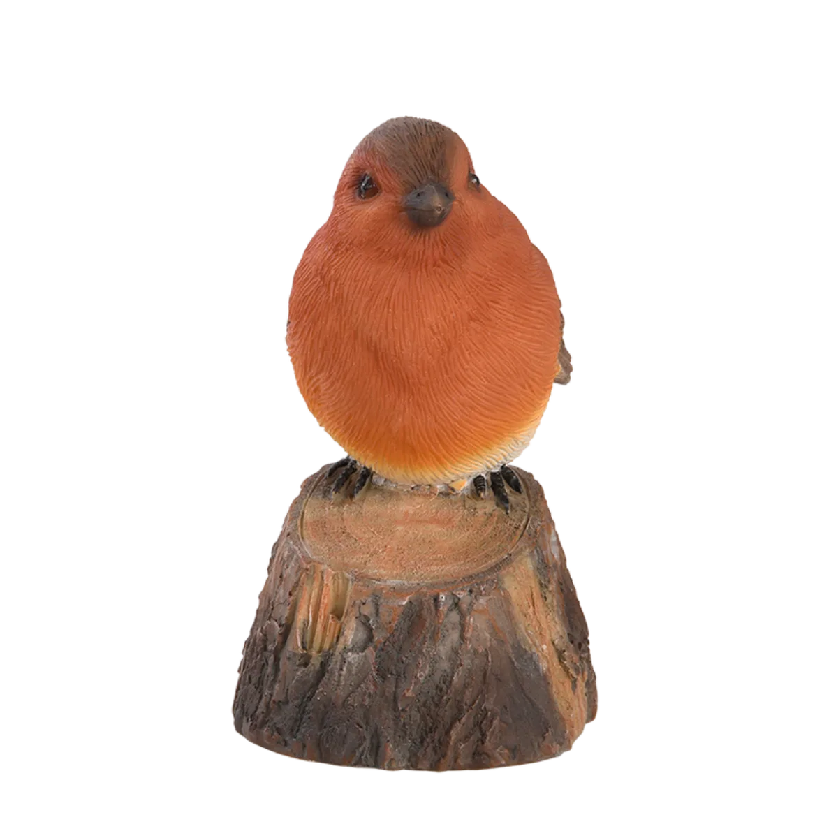 Pajaro de Bienvenida Cantarin — foto 5