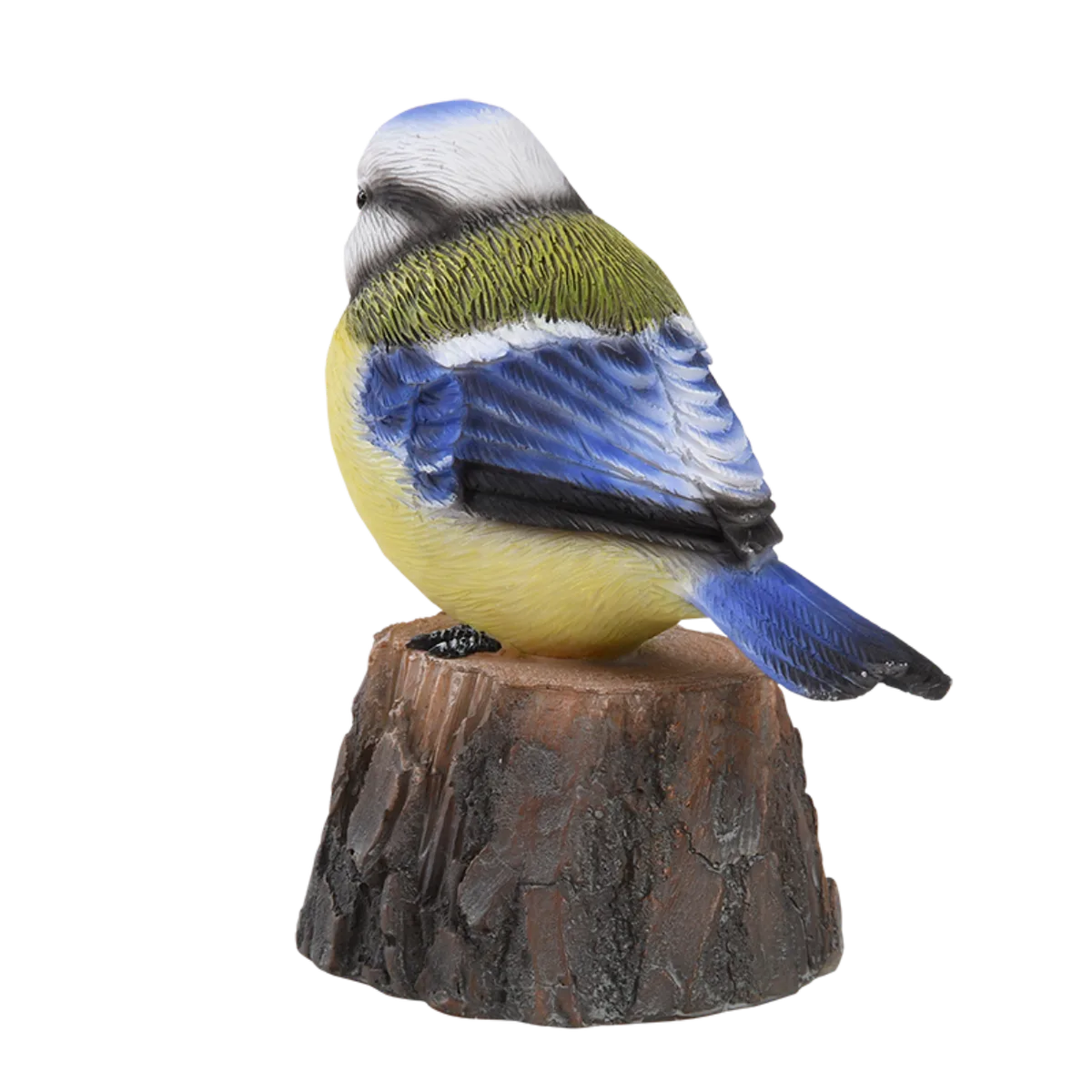 Pajaro de Bienvenida Cantarin — foto 9