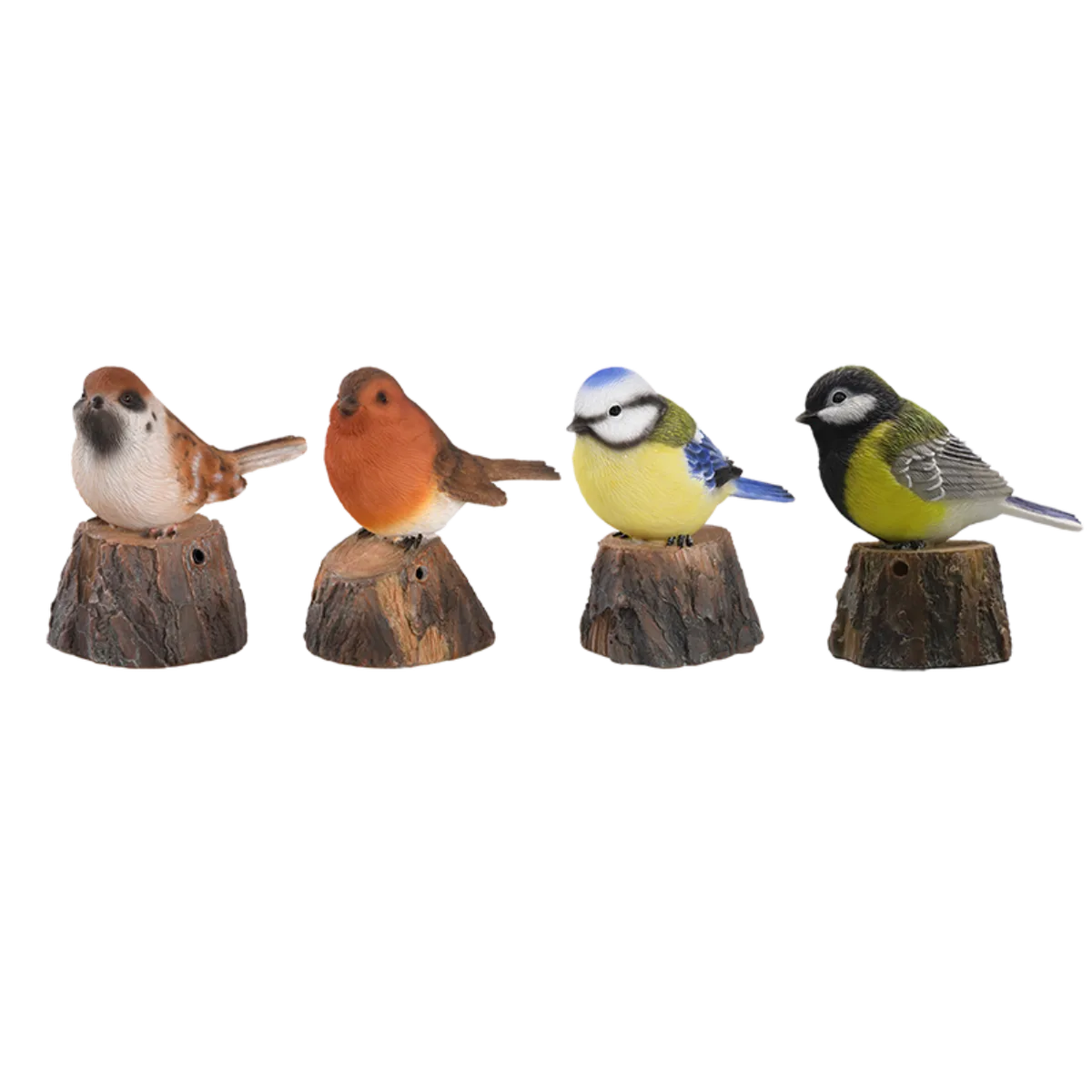 Pajaro de Bienvenida Cantarin — foto principal