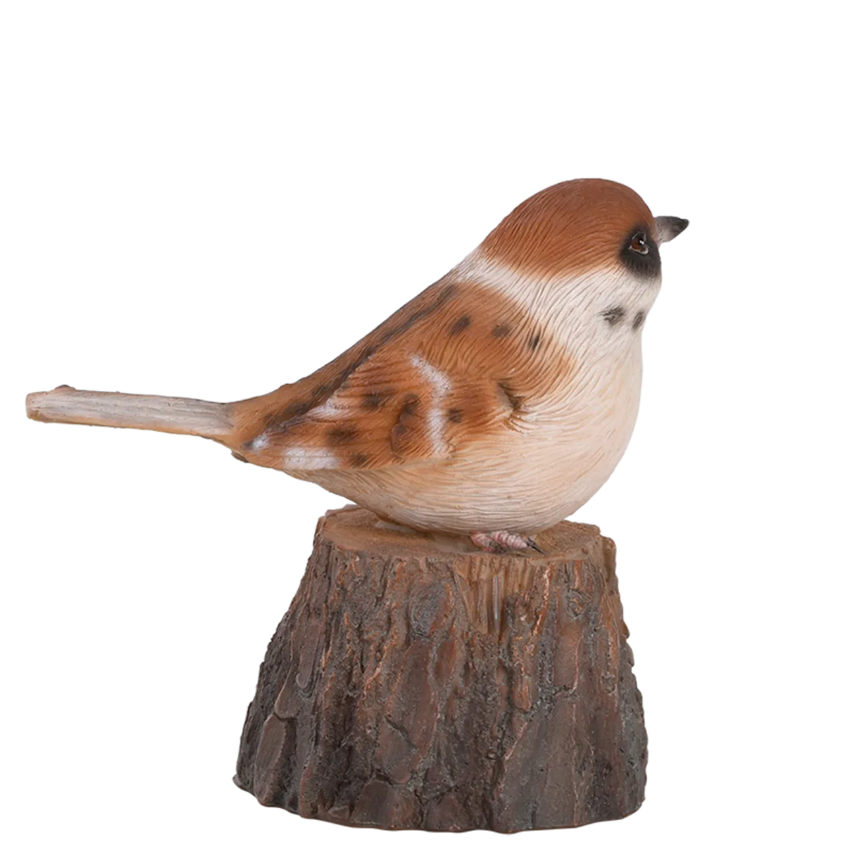 Pajaro de Bienvenida Cantarin — foto 4