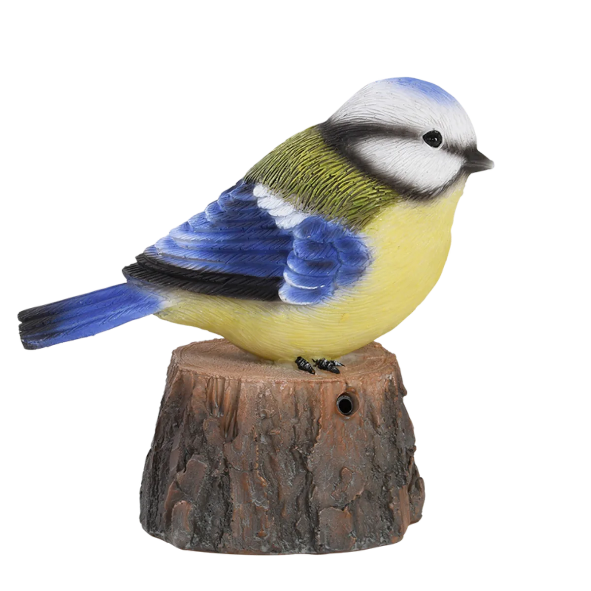 Pajaro de Bienvenida Cantarin — foto 8