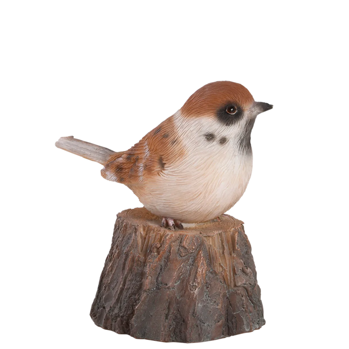 Pajaro de Bienvenida Cantarin — foto 3