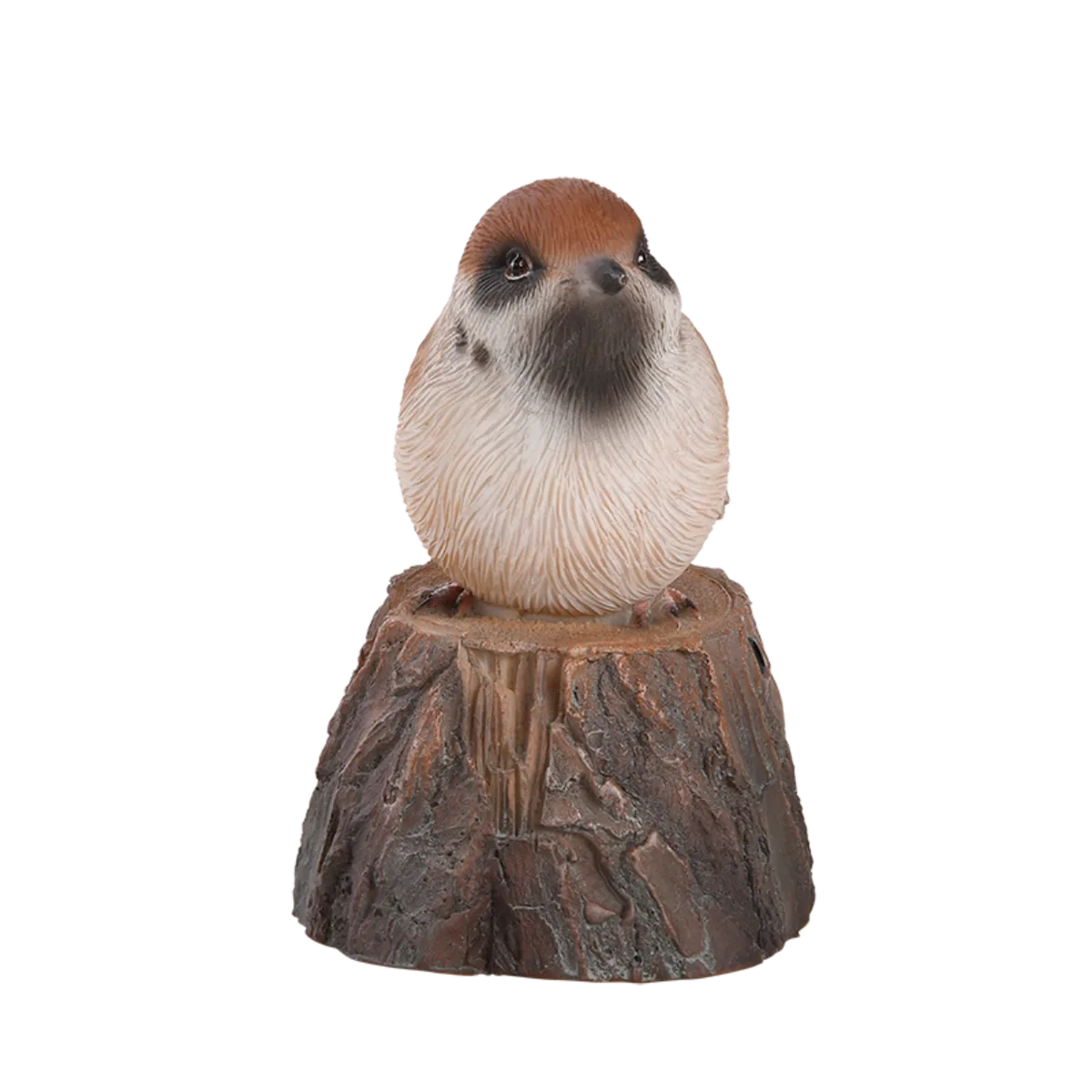 Pajaro de Bienvenida Cantarin — foto 2