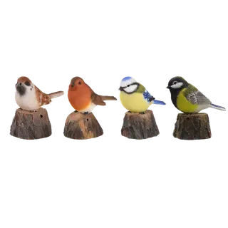 Pajaro de Bienvenida Cantarin