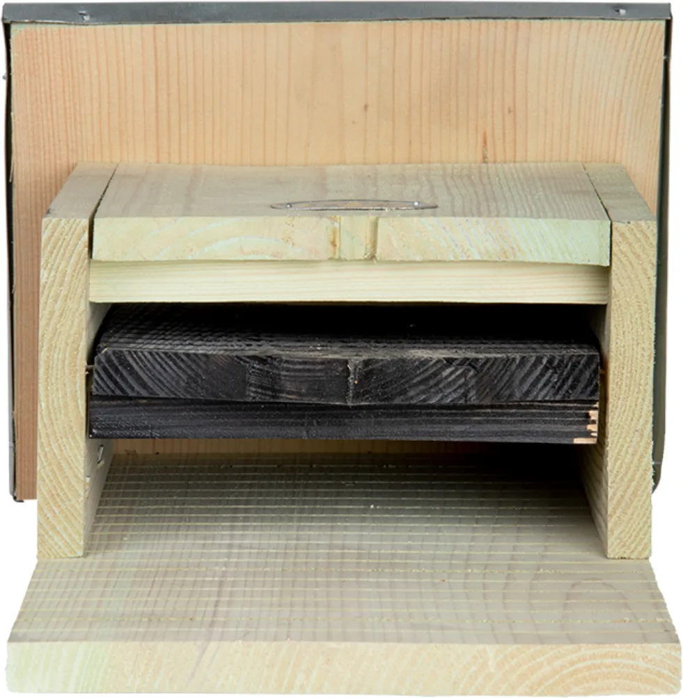Nido Murcielagos Bat Box con Silueta S — foto 5