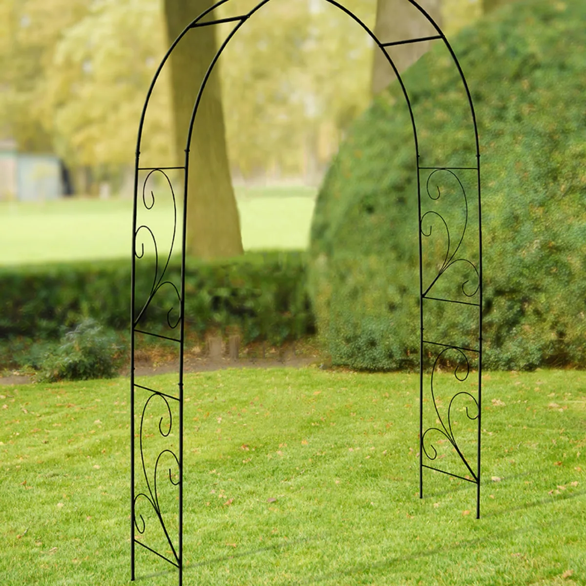 Arco Rosas Jardin — foto 6