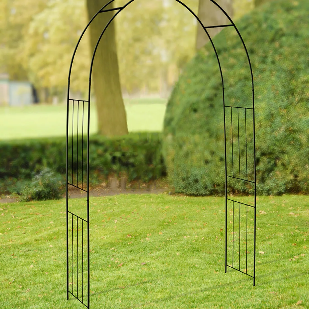 Arco rosales y plantas trepadoras Rosas Jardin con Barras — foto 6