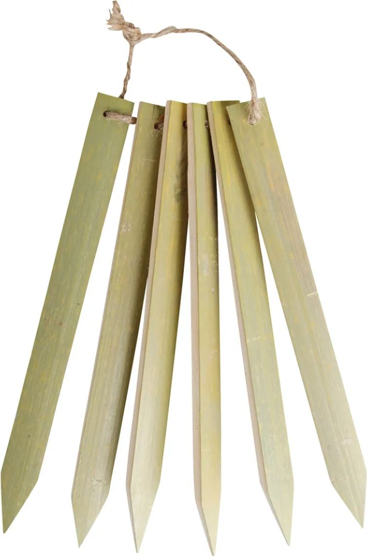Etiquetas Plantas de Bambu Largas Juego 6 unidades