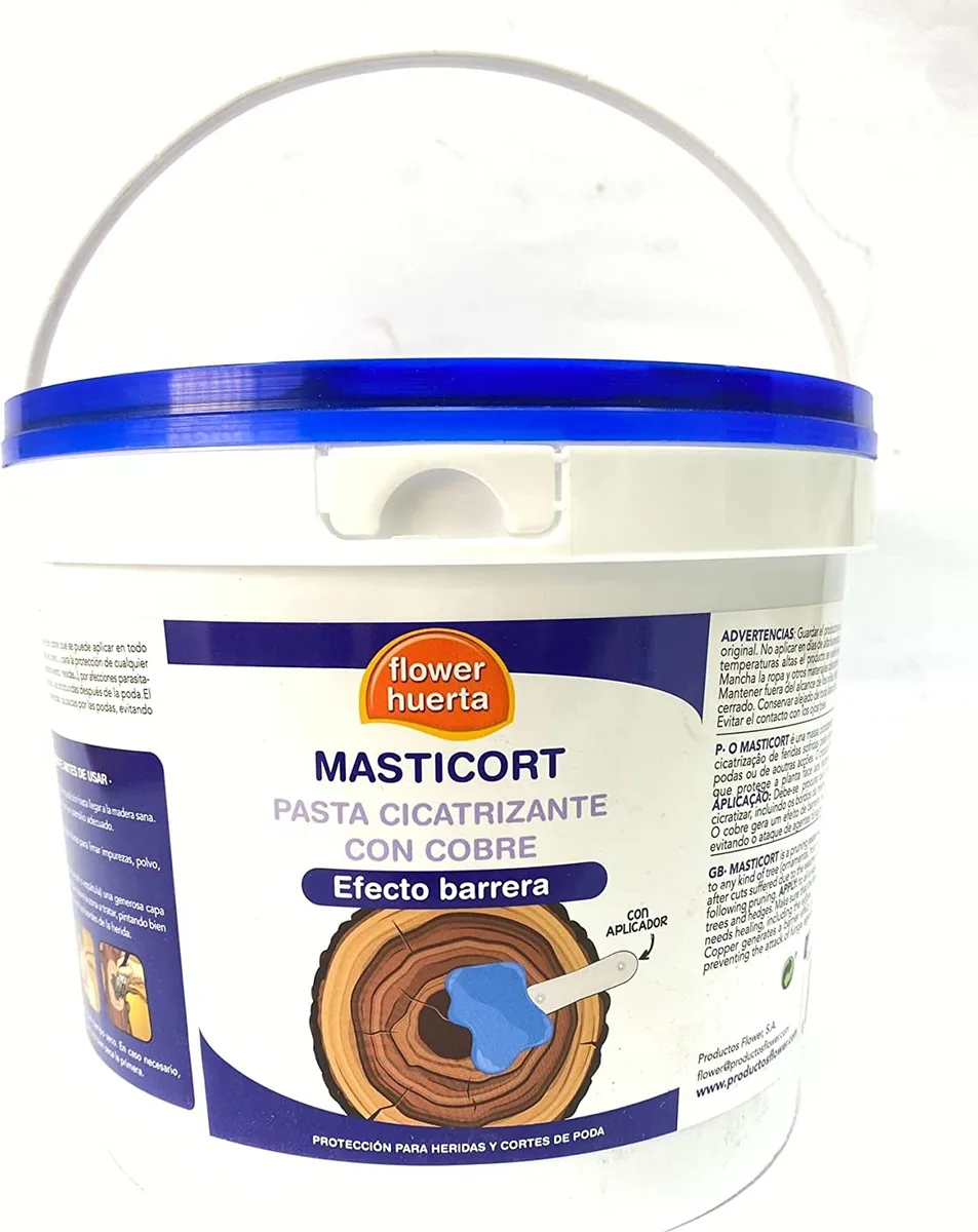 Pasta Cicatrizante Masticort con Cobre 5Kg