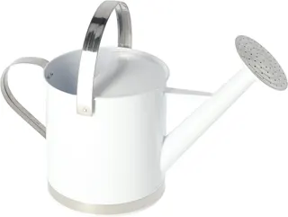 Regadera Blanca