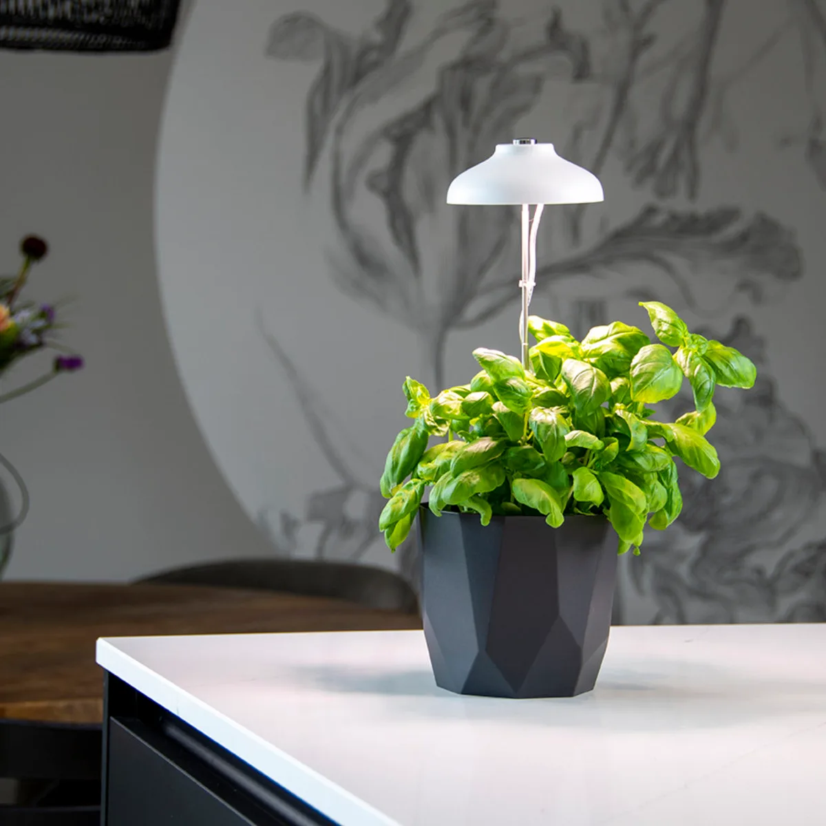 Lampara Cultivo Plantas — foto 6