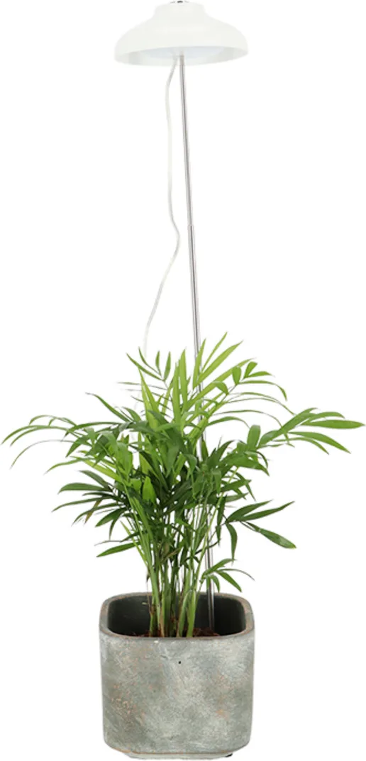 Lampara Cultivo Plantas — foto 5