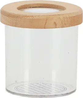 Caja de Estudio de Insectos Madera