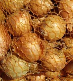 Semilla Bulbo Cebolla Stuttgarter Calibre 14/21 400 Gramos — foto 2