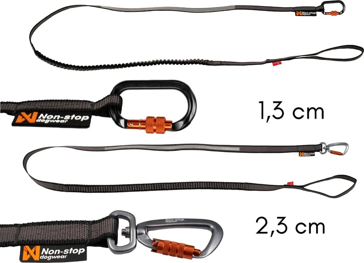 Touring bungee leash