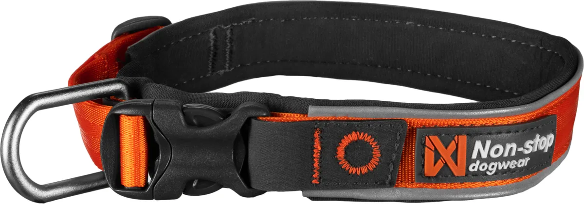 Collar perros Roam collar naranja
