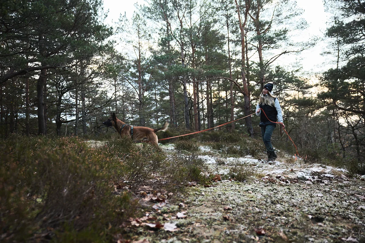 Ramal Perro Friction Long Line Talla 10.0m — foto 8