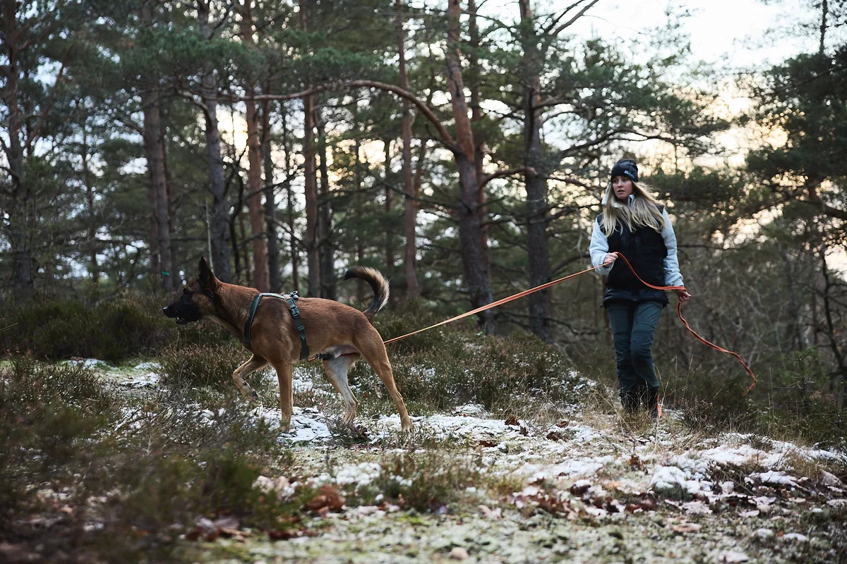 Ramal Perro Friction Long Line Talla 15.0m — foto 6