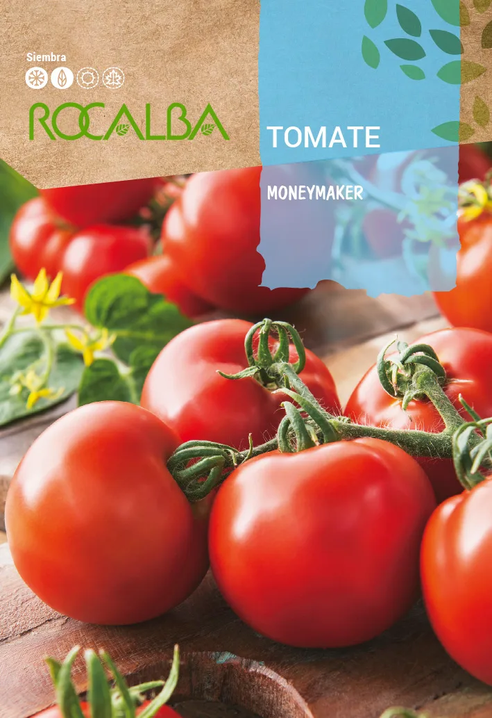 Semilla Tomate Moneymaker — foto principal
