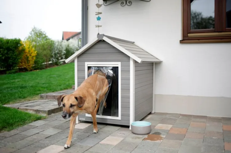 Caseta de Perro Hendry Eco 101x88x98 — foto 9