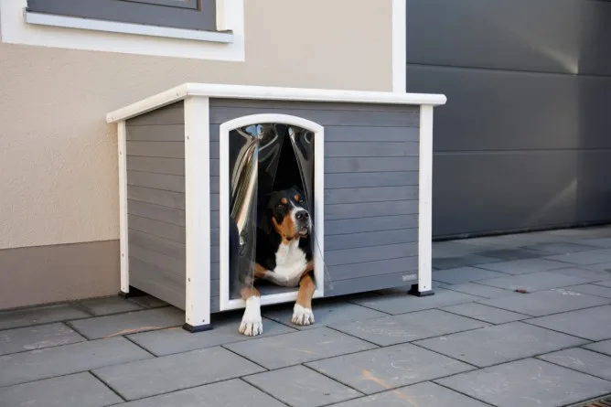 Caseta de Perro Kenny Gris 113x77x81 — foto 4