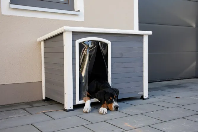 Caseta de Perro Kenny Gris 113x77x81 — foto 5