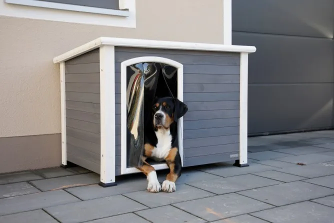 Caseta de Perro Kenny Gris 113x77x81 — foto 3