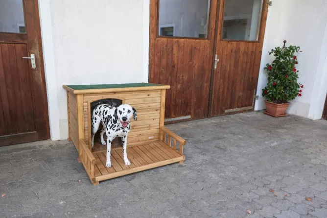 Caseta de Perro con Terraza 113x127x83 cm — foto 3