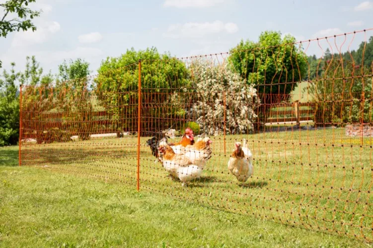 Malla Electrificada para Gallinas 25 metros 106 Cm — foto 9