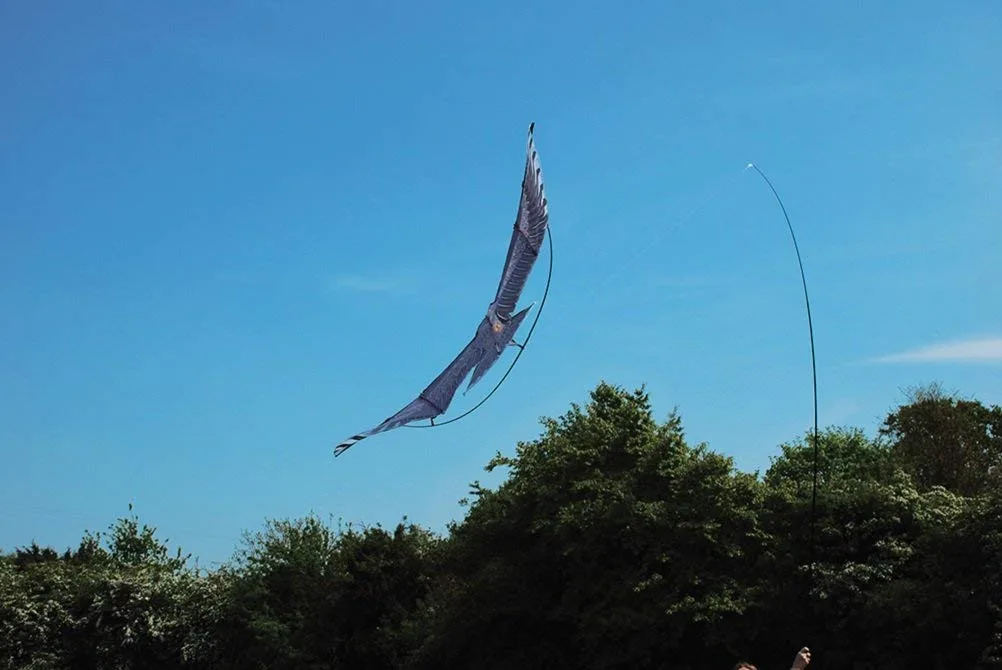 Cometa Espantapajaros Halcon Vela Bikain — foto 4