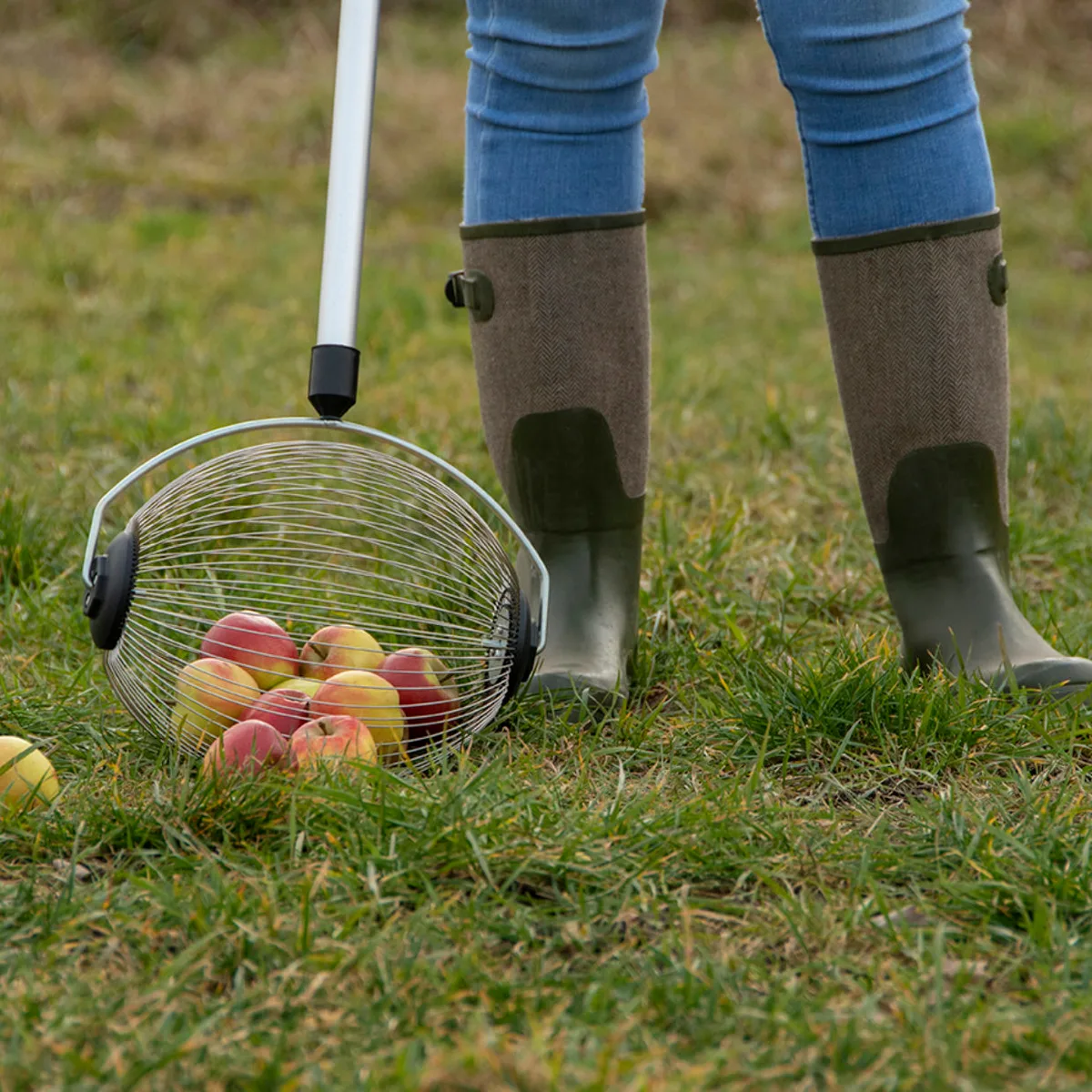 Recogedor Manzanas con Mango — foto 2