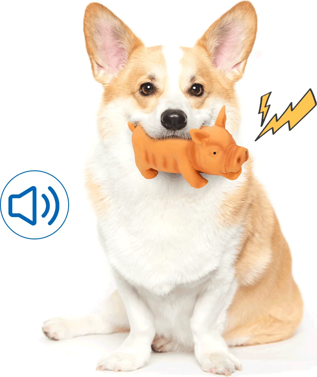 Juguete Latex Cerdito para Perro Con Sonido — foto 4