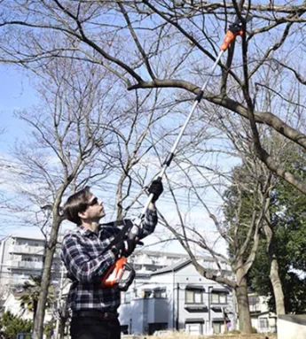 Podadora DPPF 310 40V - Sin batería ni cargador — foto 6