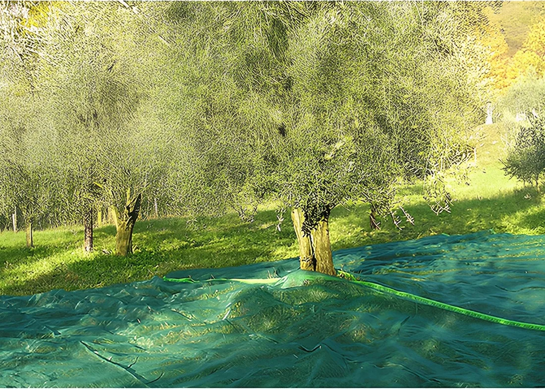 Manta para Recoleccion Aceitunas y Almendras 4x8 mt — foto principal