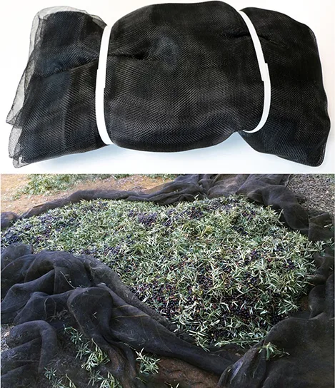 Manta para Recoleccion Aceitunas y Almendras 5x10 mt