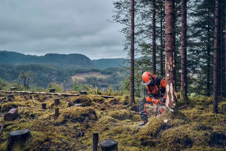 Motosierra Poda Husqvarna 540 Xp Mark III Autotune — foto 4