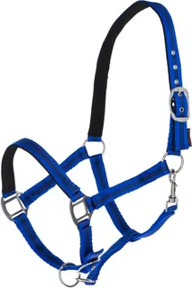 Cabezada Caballo Mustang Regulable Azul/Negro Talla Full