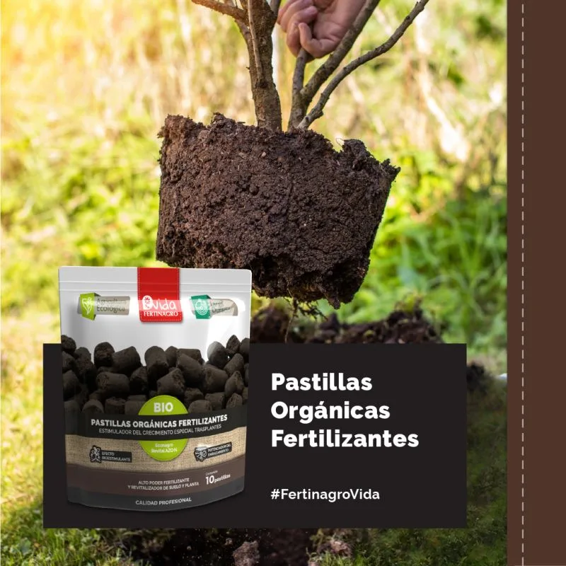 Pastillas Organicas Fertilizantes Estimulador Transplante 10 Pastilas — foto 3