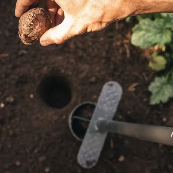 Plantador Vertical de Bulbos Ergo Fiskars — foto 6