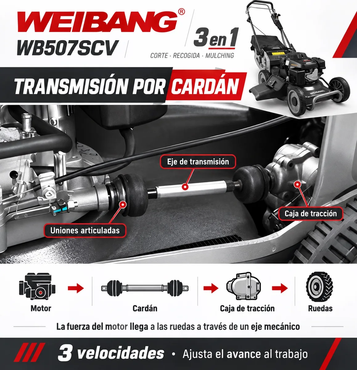 Cortacesped Weibang WB507SCV 3 en 1 Cardan — foto 6