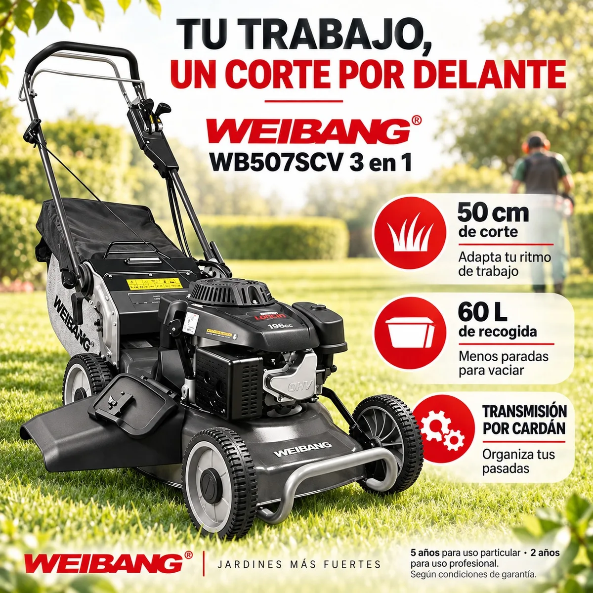 Cortacesped Weibang WB507SCV 3 en 1 Cardan — foto 2