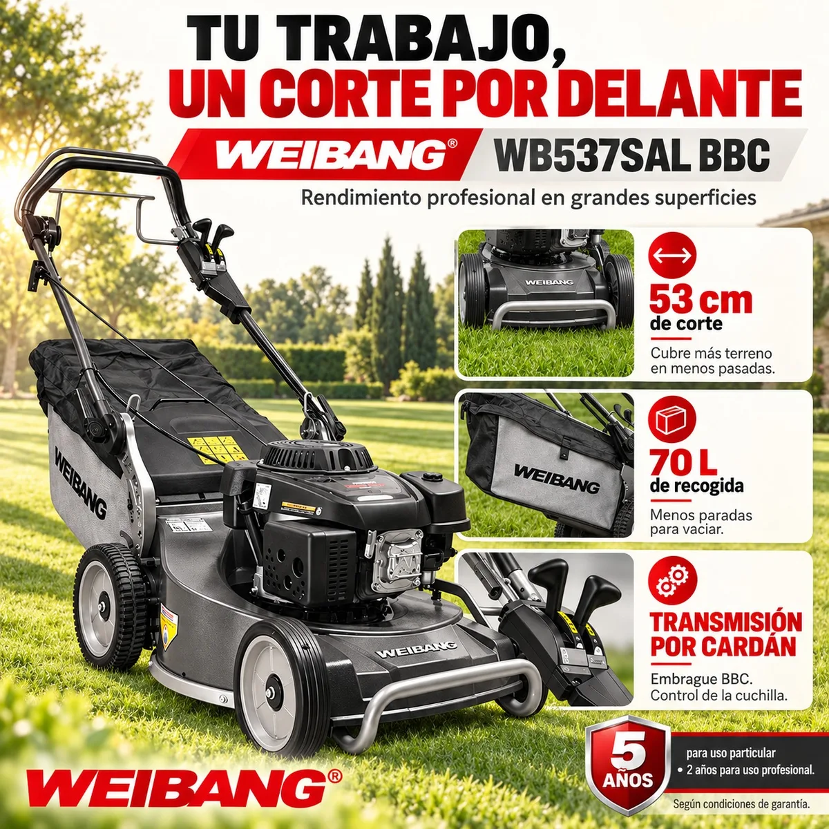 Cortacesped Weibang WB 537SAL BBC Cardan — foto 2